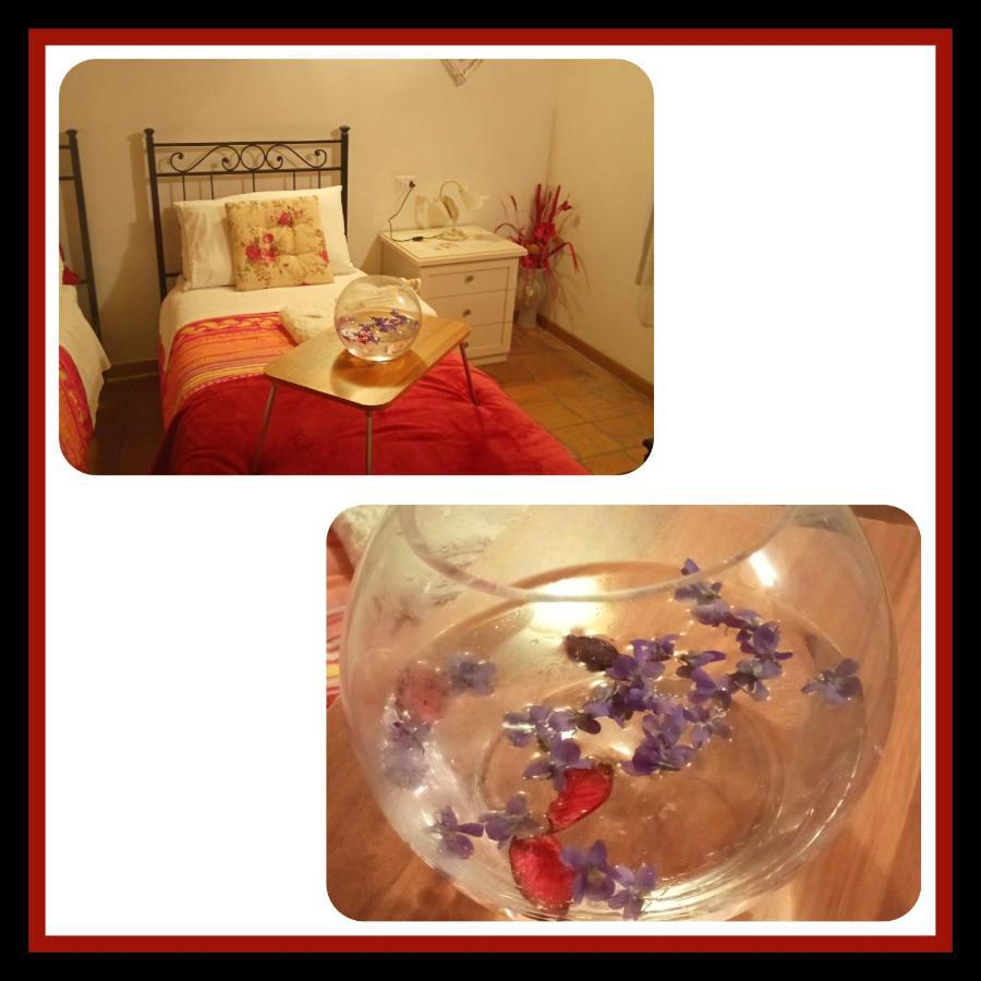 Bed and Breakfast Felix House Codevilla Exterior foto